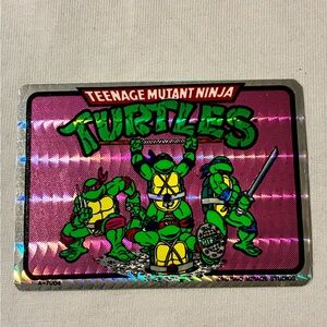 Teenage Mutant Ninja Turtles Holographic Sticker - Green & Pink